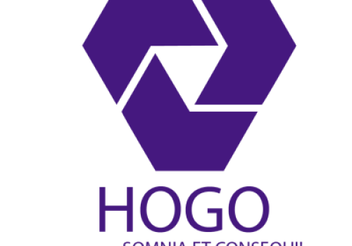 Hogo-Purple